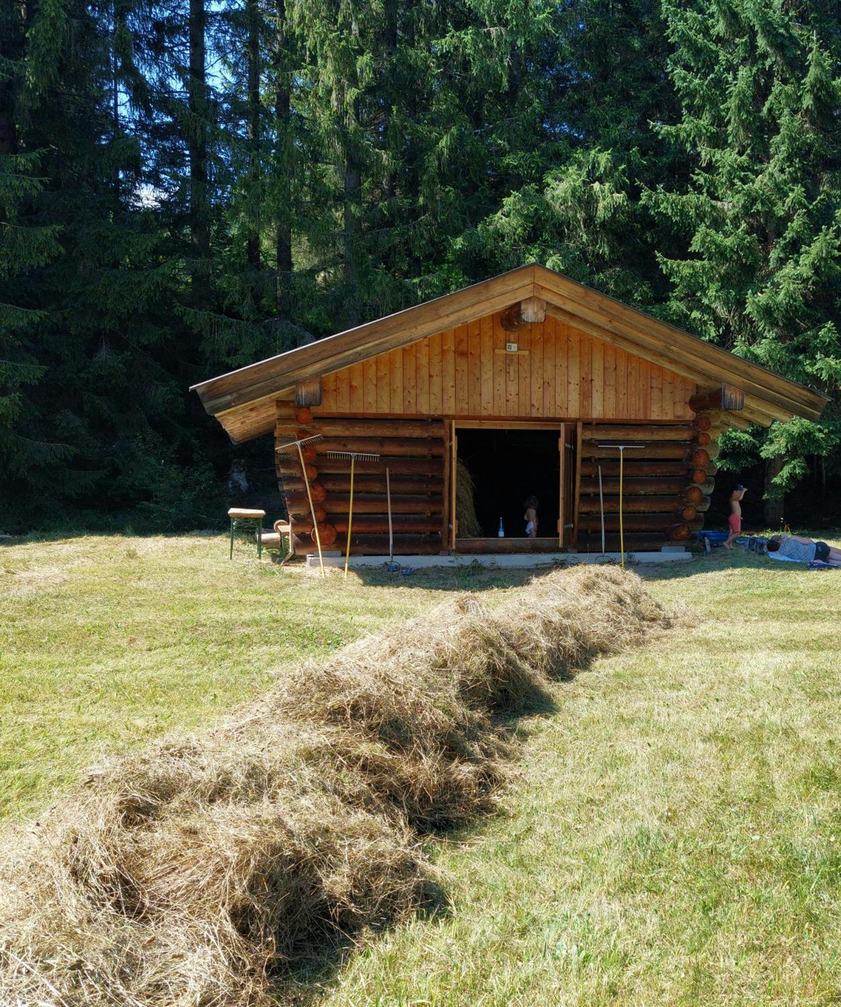 Appartement Haus Sonnenruh